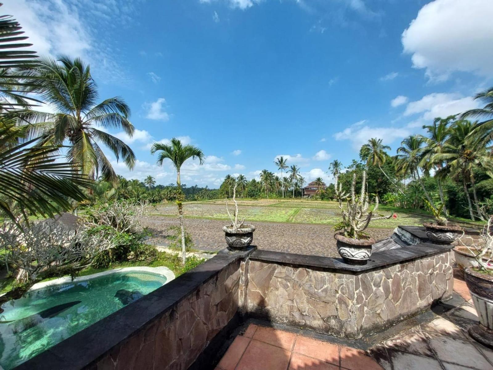 Dzawani Ubud Tampaksiring Exteriör bild